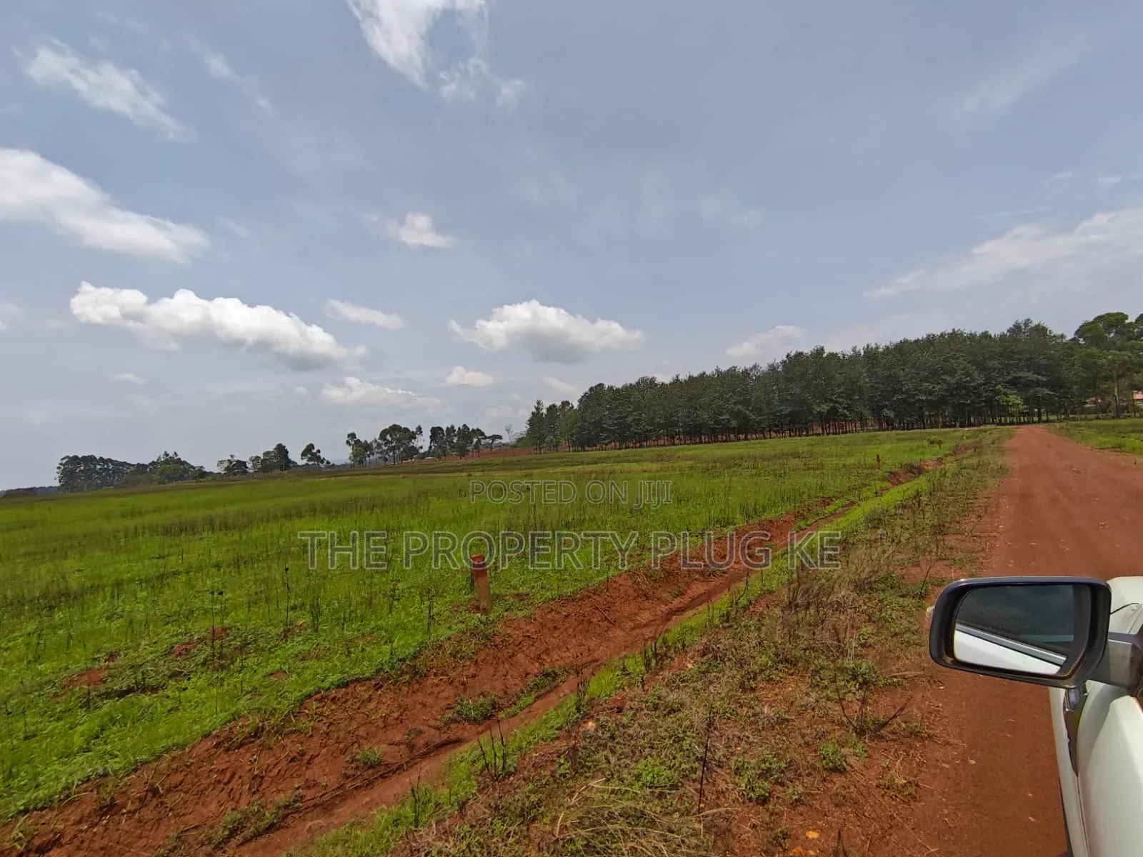 1/4 Acre Plots for Sale in Kitale