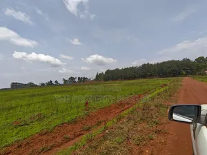 1/4 Acre Plots for Sale in Kitale