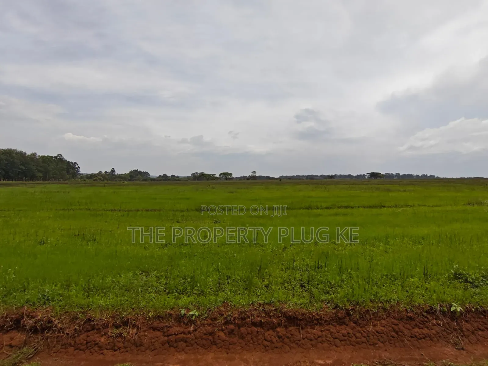 1/4 Acre Plots for Sale in Kitale