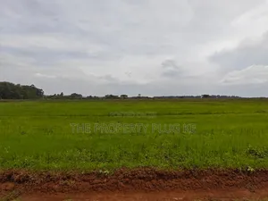 1/4 Acre Plots for Sale in Kitale