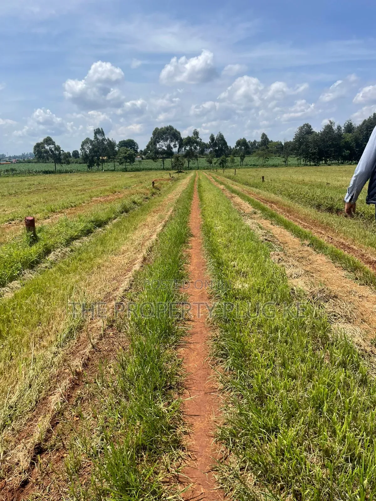 1/4 Acre Plots for Sale in Kitale