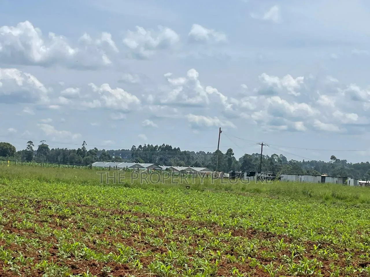 1/4 Acre Plots for Sale in Kitale