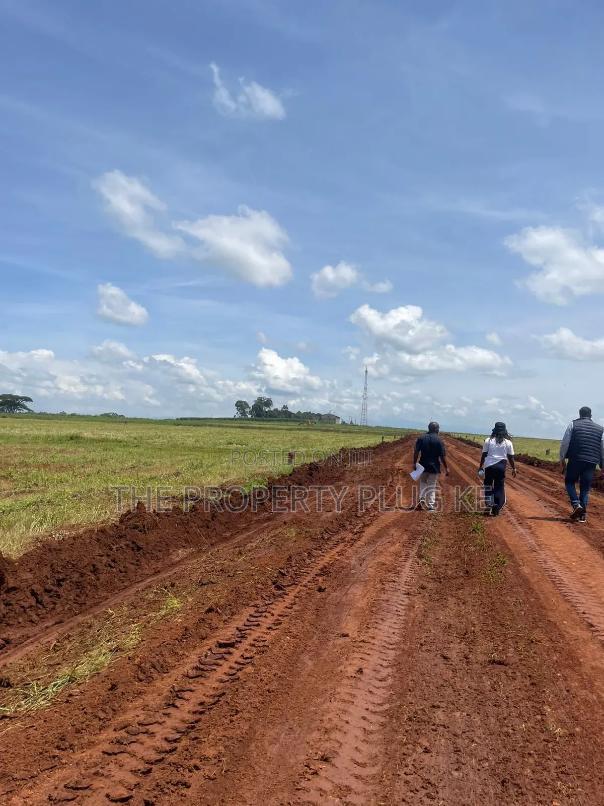 1/4 Acre Plots for Sale in Kitale