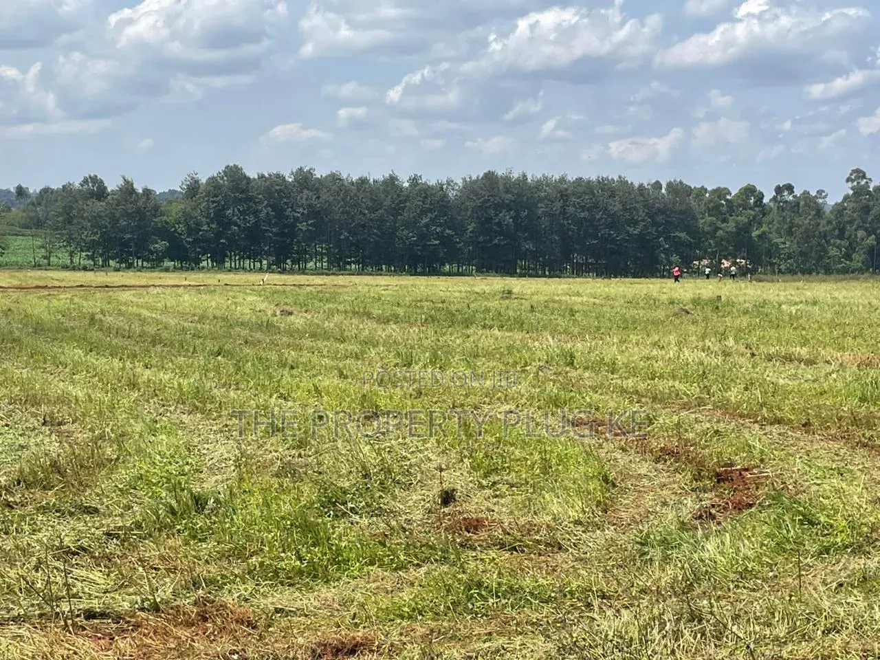 1/4 Acre Plots for Sale in Kitale