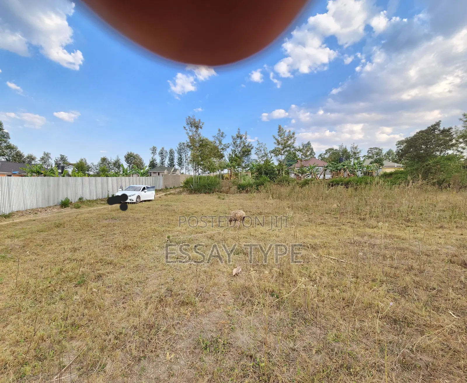 Prime Land for Sell in Kitale Maili Saba