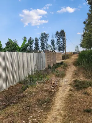 Prime Land for Sell in Kitale Maili Saba