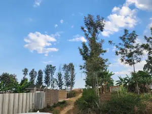 Prime Land for Sell in Kitale Maili Saba