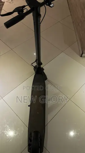 Amazing Electric Scooter