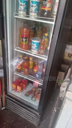 Fridge Repair and Service