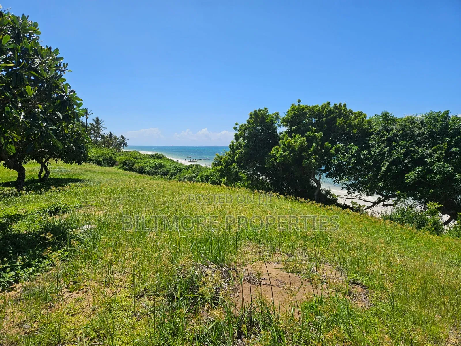2 Acres Beachfront for Sale in Bofa