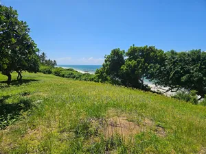 2 Acres Beachfront for Sale in Bofa