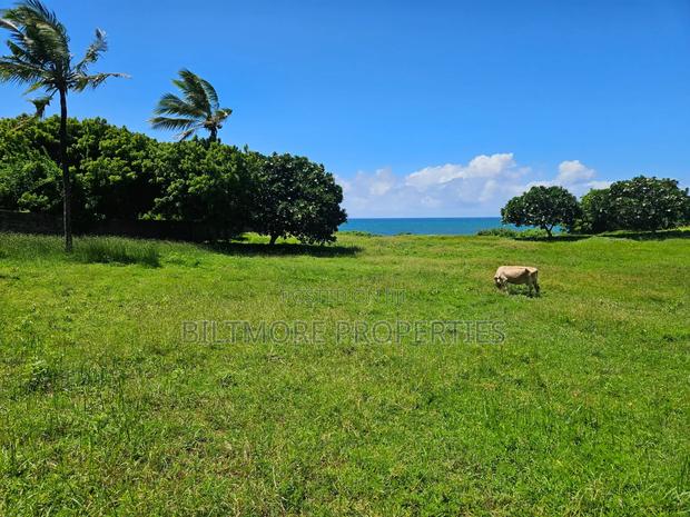 2 Acres Beachfront for Sale in Bofa - thumbnail 3