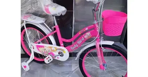 Ladybird Bike Size 16 With Trainer Wheel