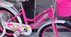 Ladybird Bike Size 20 Without Trainer Wheel