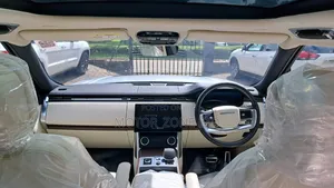 Rover 400 2022 Silver