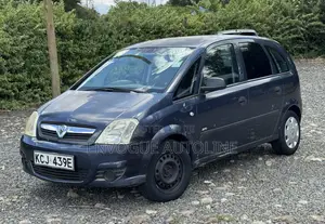 Vauxhall Meriva 2009 Gray
