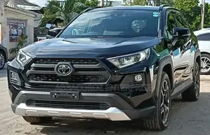 Toyota RAV4 Adventure 2019 Black