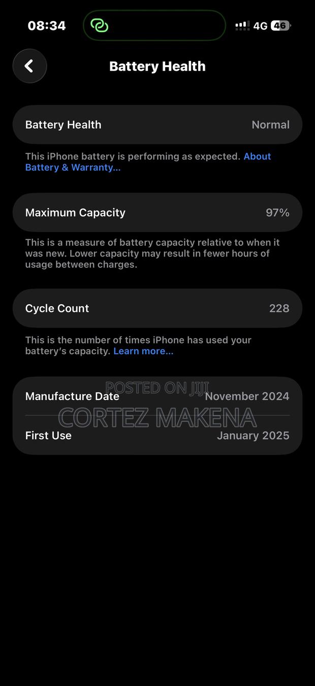 Apple iPhone 16 Pro 256 GB Silver - thumbnail 2