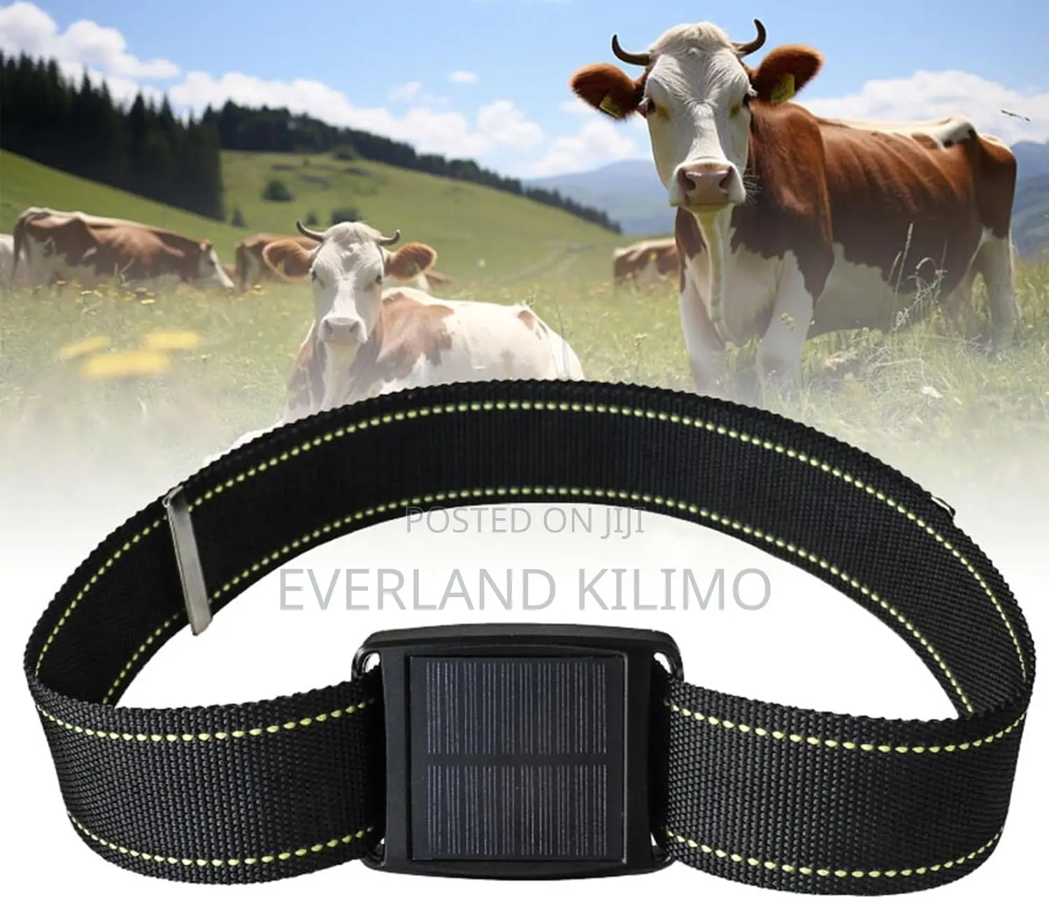 Solar Power Gps Tracker