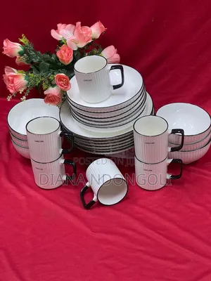Original Restocked Concise Dinner Set 
24 PCS Set 
