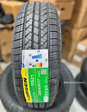 225/65r17 Kapsen