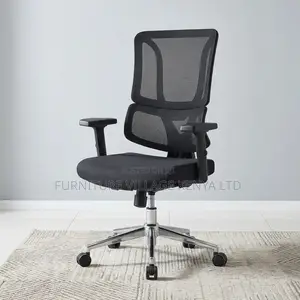 Orthopedic Ergonomic Adjustable Presidential Chair