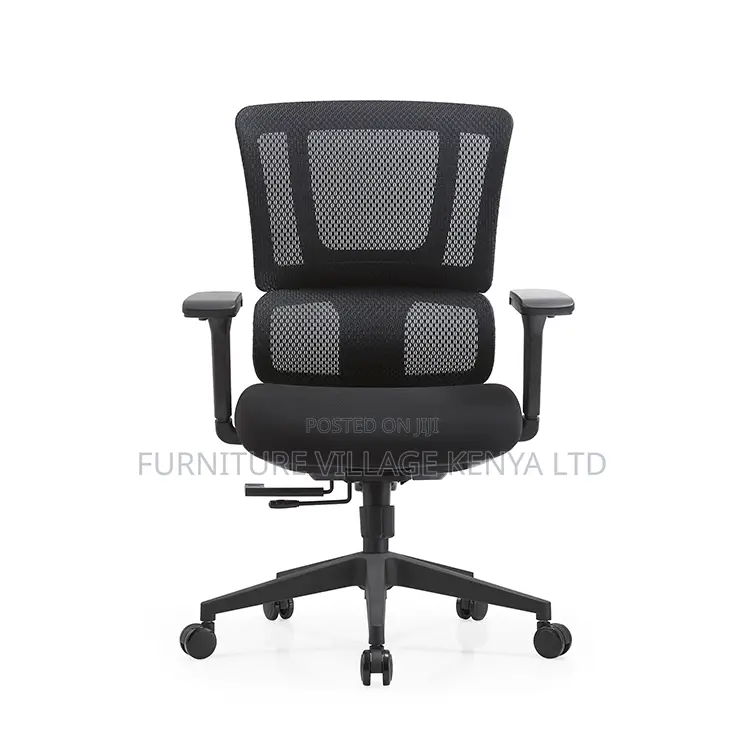 Orthopedic Ergonomic Adjustable Presidential Chair