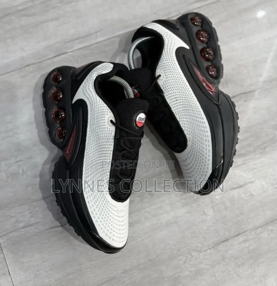 The Nike Airmax Dn ,Airmax Dn