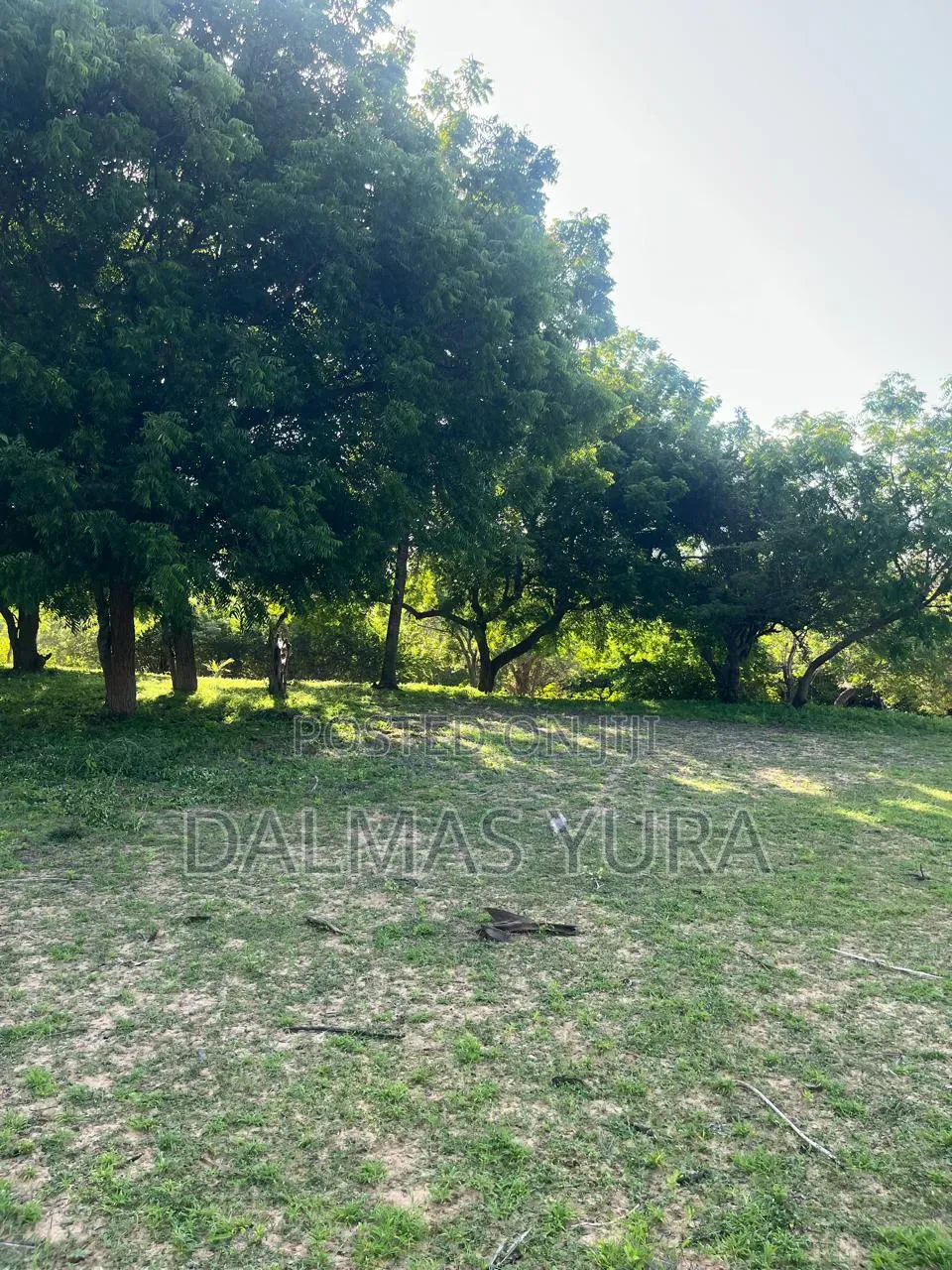 2 Acres of Land in Watamu