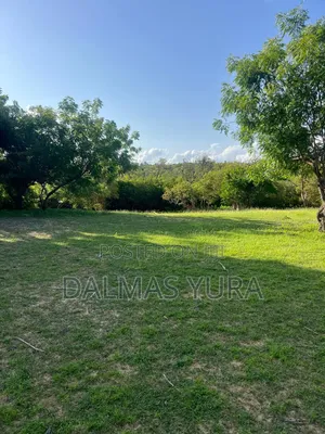 2 Acres of Land in Watamu