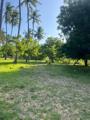 2 Acres of Land in Watamu