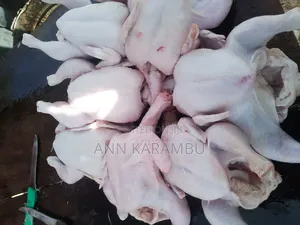 Broiler Chicken for Sale