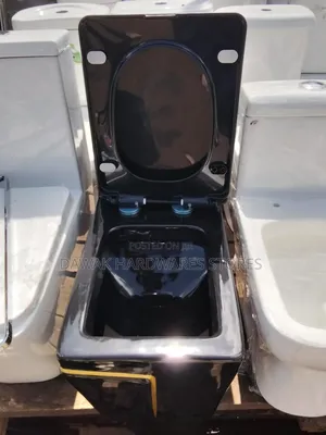 Black Designed Top Flush Ceramic Toilet