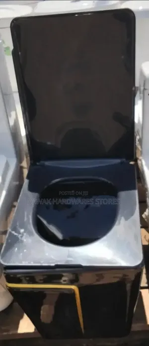 Black Designed Top Flush Ceramic Toilet