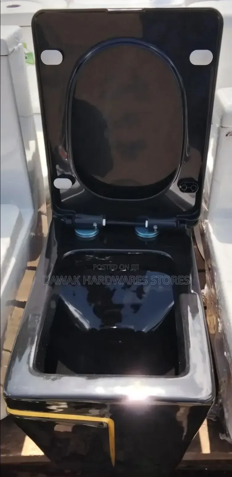 Black Designed Top Flush Ceramic Toilet