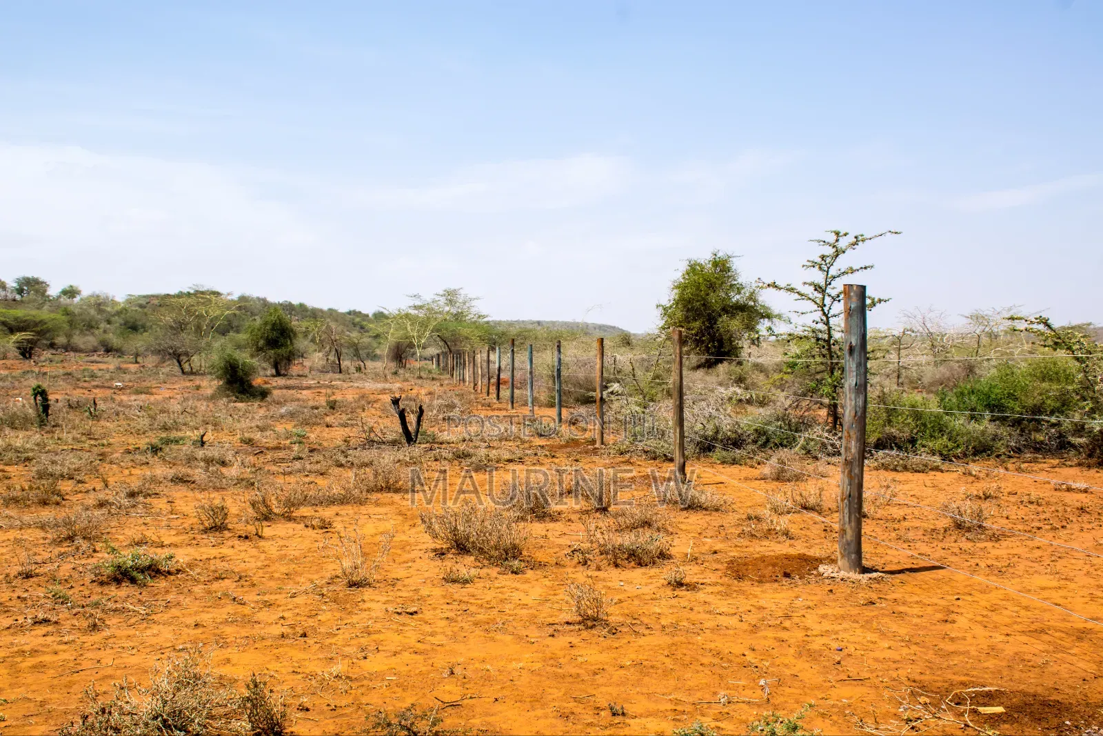 Ngong Kimuka - Ol Marorou