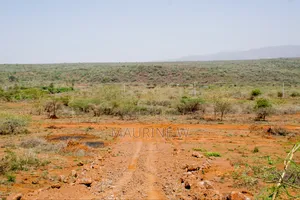 Ngong Kimuka - Ol Marorou
