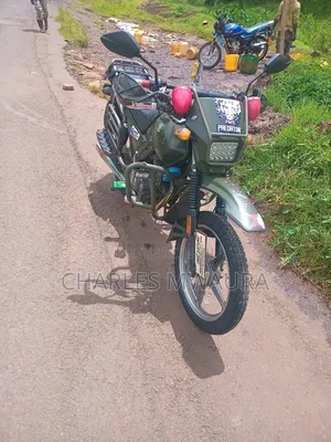 Shineray XY175GY 2022 Green