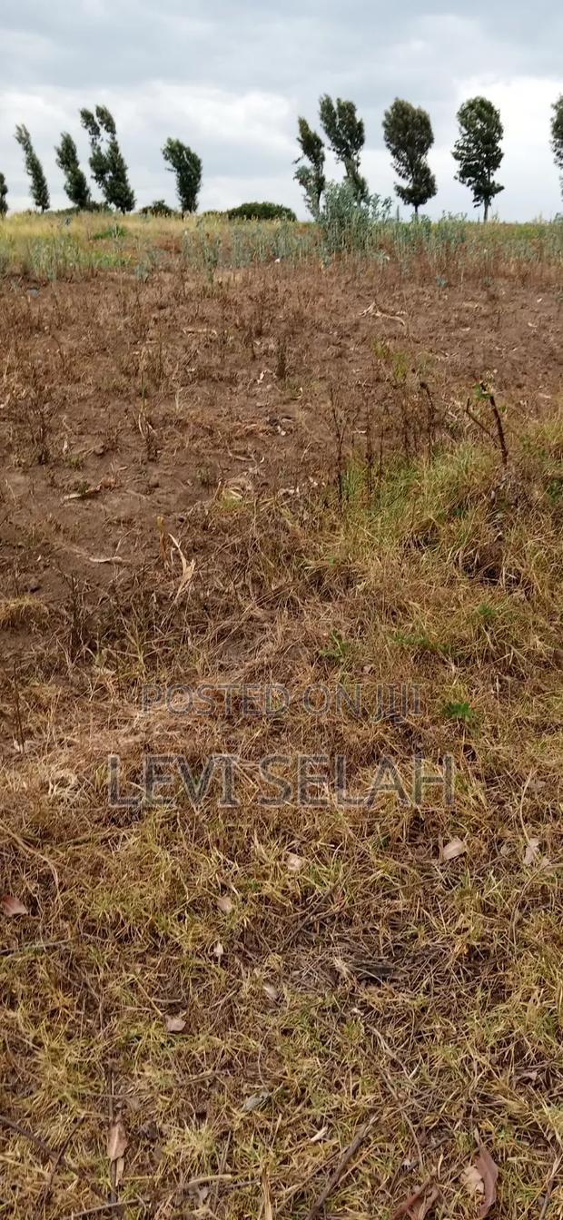 Plot for Sale - main view