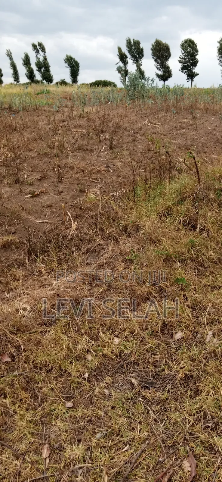 Plot for Sale