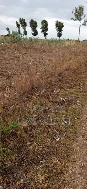 Plot for Sale