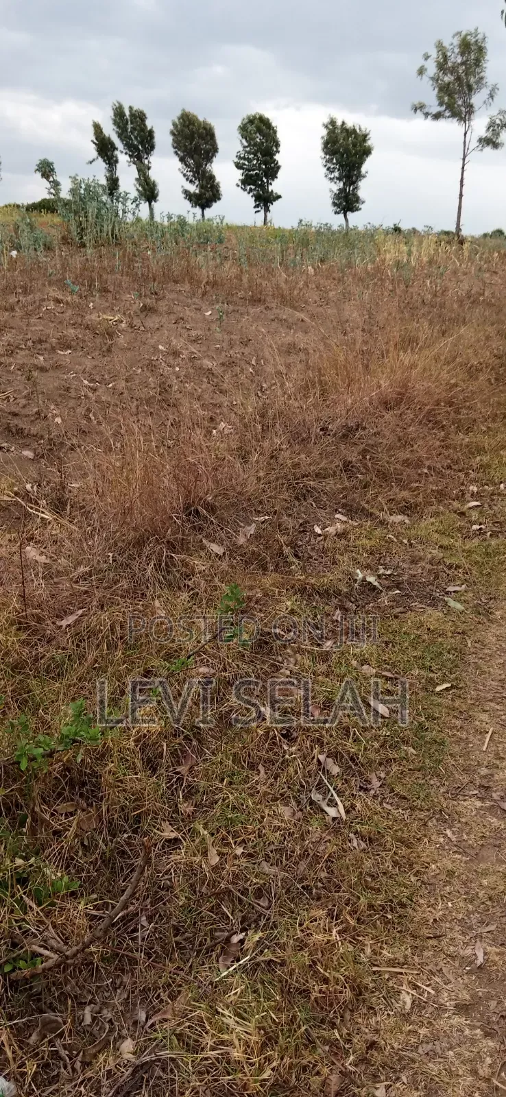Plot for Sale