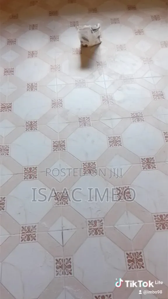 Tile Fixing and House Finishing Servises