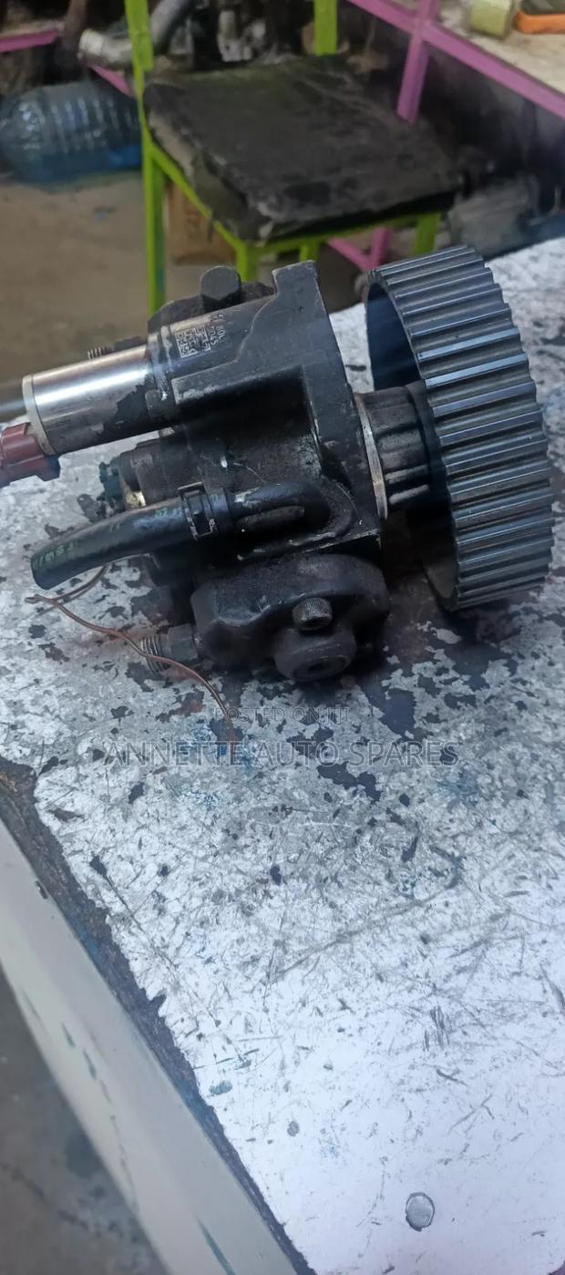 Injector Pump Rf6