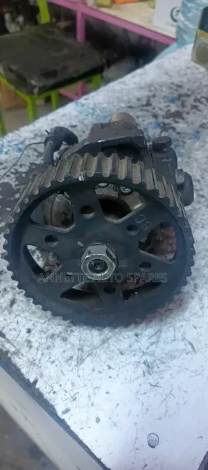 Injector Pump Rf6