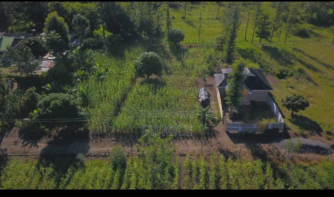 Kenol Plots