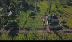 Kenol Plots