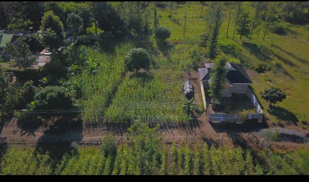 Kenol Plots - thumbnail 2
