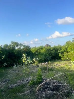 An Acre of Land in Watamu