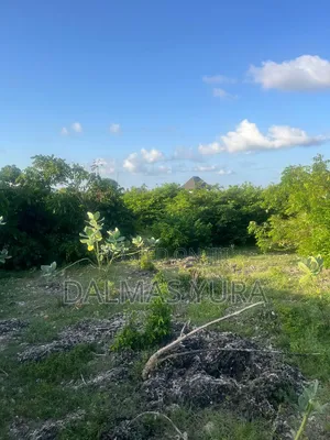 An Acre of Land in Watamu